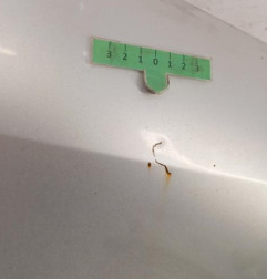 Aile avant droit VOLKSWAGEN GOLF PLUS