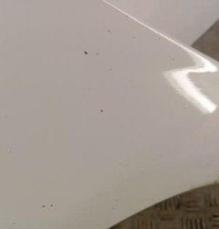 Aile avant gauche DACIA LOGAN 1 Photo n°5