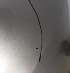 Pare choc arriere RENAULT MEGANE 3 Photo n°4