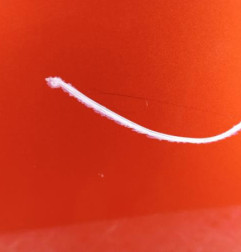 Porte arriere droit RENAULT CLIO 4 Photo n°3