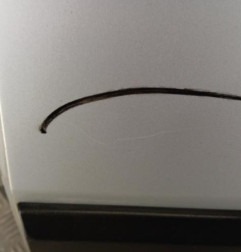 Porte laterale gauche FIAT QUBO