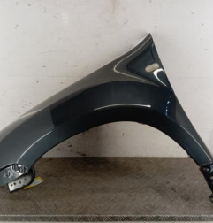 Aile avant gauche DACIA DUSTER 1 Photo n°1