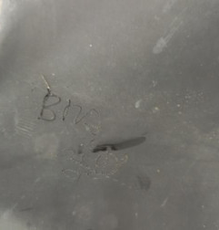 Reservoir AdBlue RENAULT TRAFIC 3 COURT Photo n°5