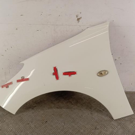 Aile avant gauche PEUGEOT 206+ Photo n°1