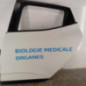 Porte arriere gauche RENAULT CLIO 5