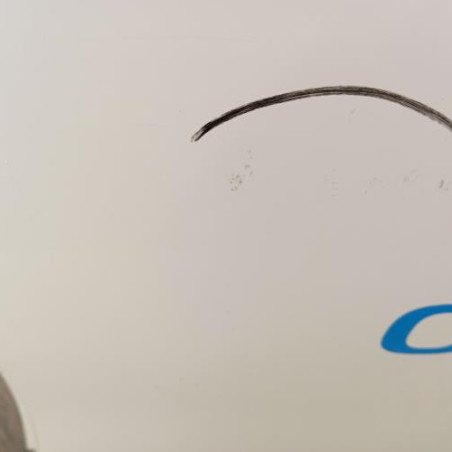 Porte arriere gauche RENAULT CLIO 5