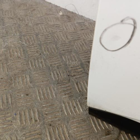 Porte avant gauche RENAULT CLIO 5