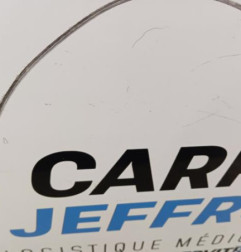 Porte avant gauche RENAULT CLIO 5 Photo n°3