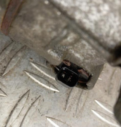 Compresseur clim RENAULT SCENIC 3 Photo n°4