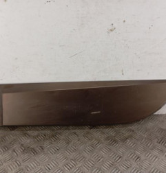 Baguette de porte arriere gauche  RENAULT SCENIC 3 Photo n°1