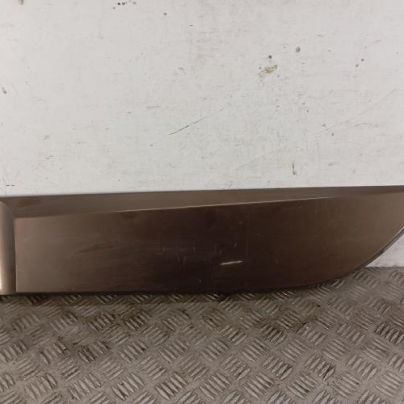 Baguette de porte arriere gauche  RENAULT SCENIC 3