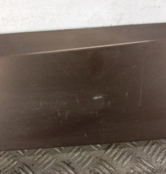 Baguette de porte arriere gauche  RENAULT SCENIC 3