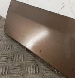 Baguette de porte avant gauche RENAULT SCENIC 3