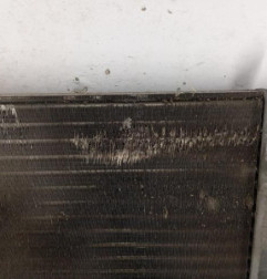 Radiateur eau RENAULT TWINGO 1 Photo n°3